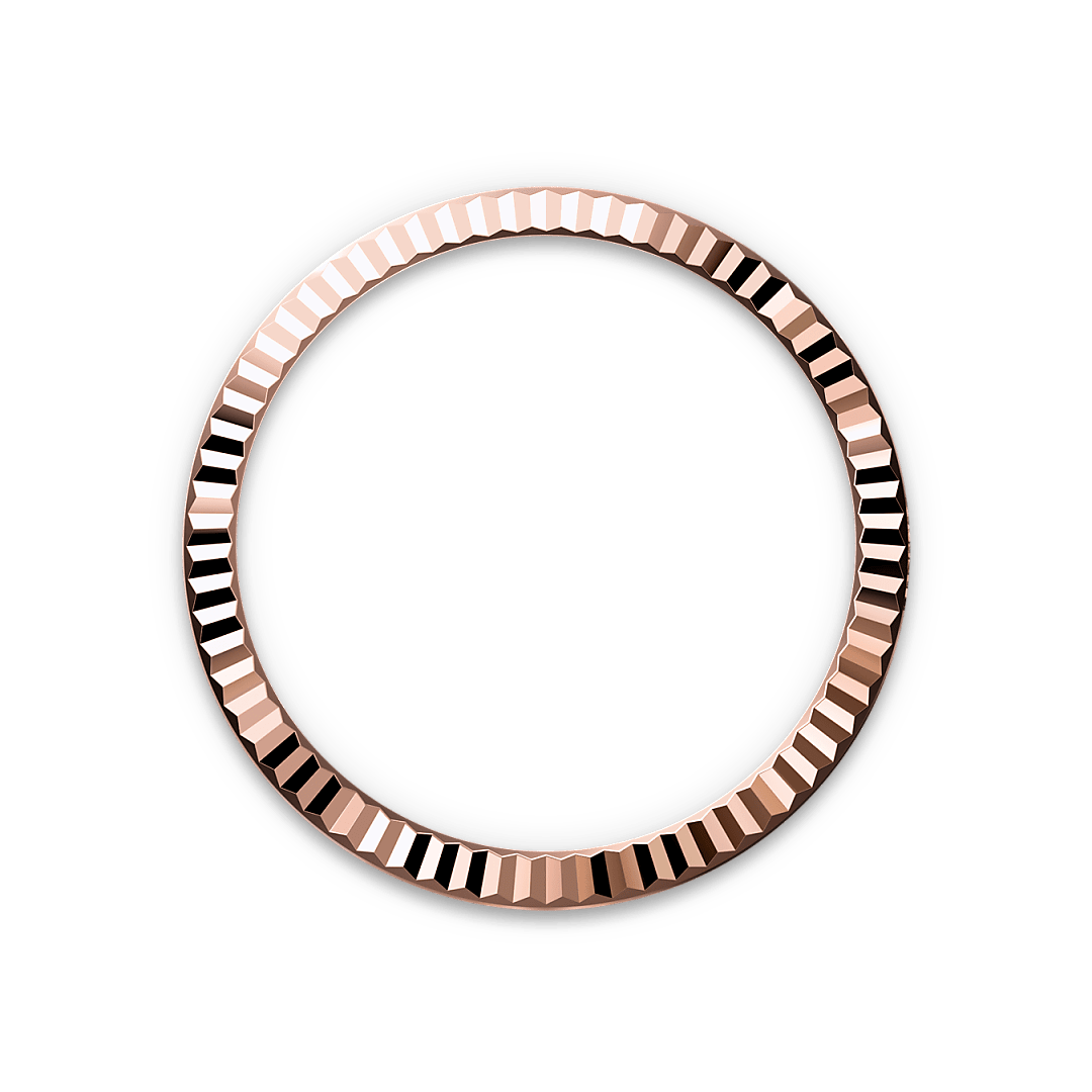 Rolex Datejust in Rolesor Everose (combinazione di acciaio Oystersteel e oro Everose),M52509-0002 - Fani