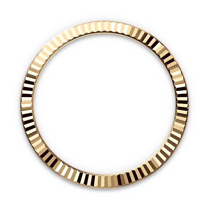 Rolex Datejust in Rolesor giallo (combinazione di acciaio Oystersteel e oro giallo), M126333-0010 - Fani