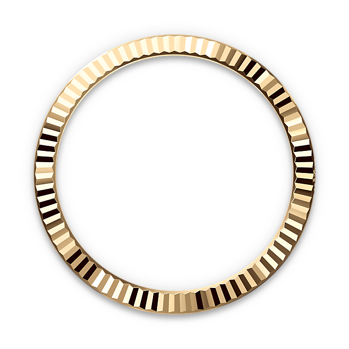 Rolex Datejust in Rolesor giallo (combinazione di acciaio Oystersteel e oro giallo), M126333-0019 - Fani