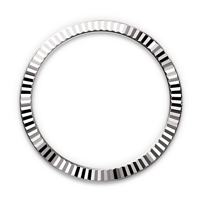 Rolex Datejust in Rolesor bianco (combinazione di acciaio Oystersteel e oro bianco), M126334-0014 - Fani