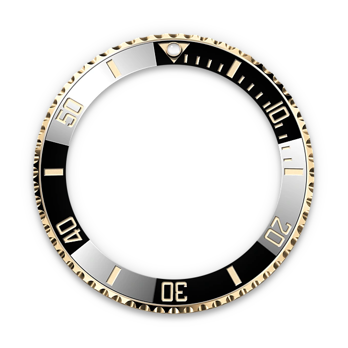 Rolex Submariner in Rolesor giallo (combinazione di acciaio Oystersteel e oro giallo), M126613LN-0002 - Fani
