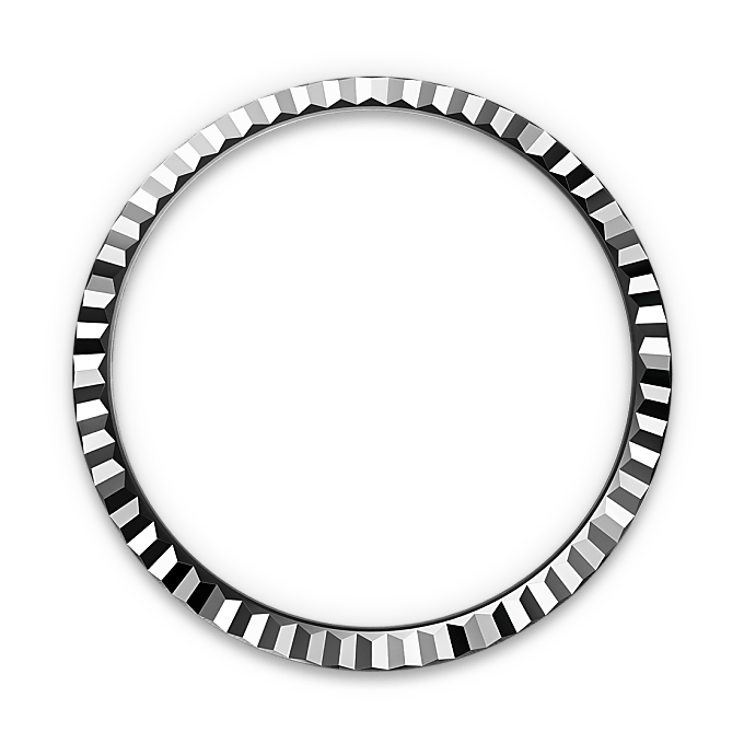 Rolex Land-Dweller in Rolesor bianco (combinazione di acciaio Oystersteel e oro bianco), M127234-0001 - Fani