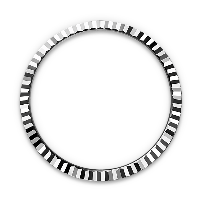 Rolex Land-Dweller in Rolesor bianco (combinazione di acciaio Oystersteel e oro bianco), M127334-0001 - Fani