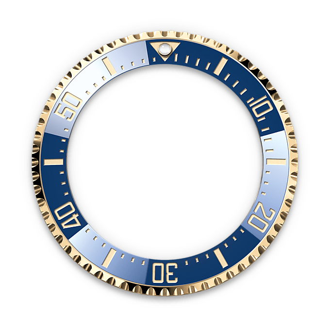 Rolex Deepsea in Oro giallo 18 ct, M136668LB-0001 - Fani