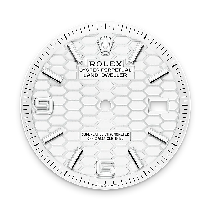 Rolex Land-Dweller in Rolesor bianco (combinazione di acciaio Oystersteel e oro bianco), M127234-0001 - Fani