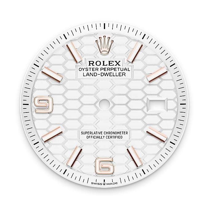 Rolex Land-Dweller in Oro Everose 18 ct, M127235-0001 - Fani