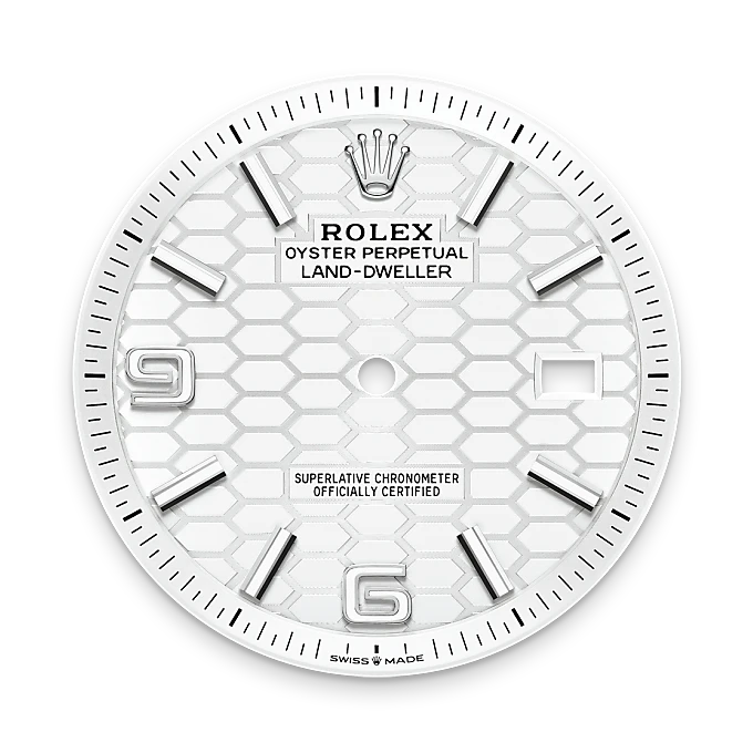 Rolex Land-Dweller in Rolesor bianco (combinazione di acciaio Oystersteel e oro bianco), M127334-0001 - Fani