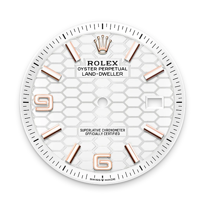 Rolex Land-Dweller in Oro Everose 18 ct, M127335-0001 - Fani