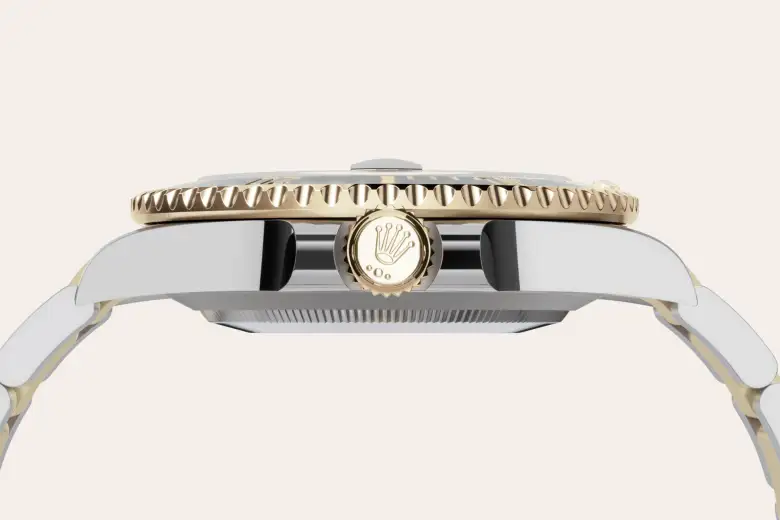 Rolex Submariner in Rolesor giallo (combinazione di acciaio Oystersteel e oro giallo), M126613LN-0002 - Fani