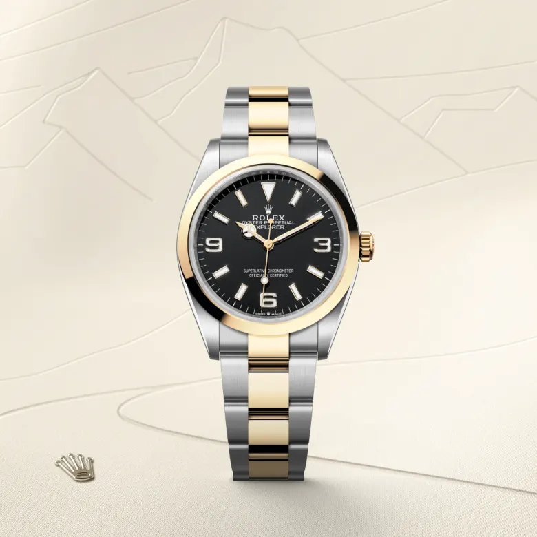 Rolex Explorer in Rolesor giallo (combinazione di acciaio Oystersteel e oro giallo), M124273-0001 - Fani