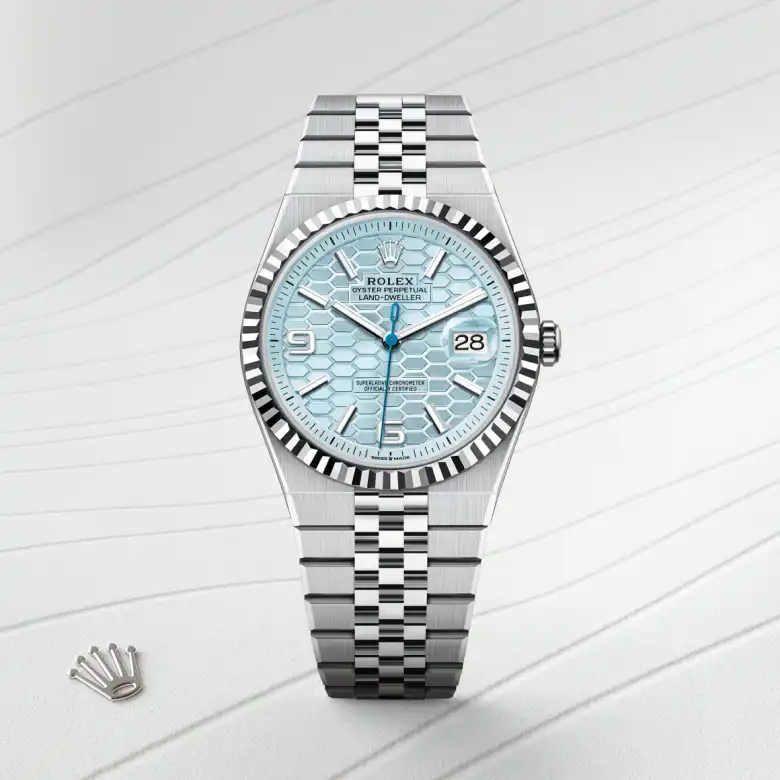 Rolex Land-Dweller in Platino, M127336-0001 - Fani