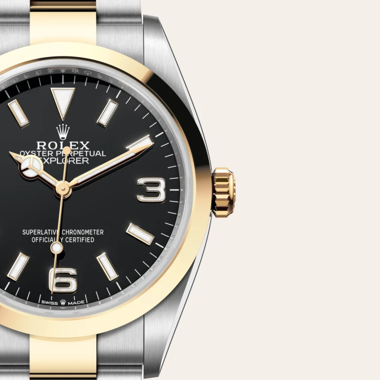 Rolex Explorer in Rolesor giallo (combinazione di acciaio Oystersteel e oro giallo), M124273-0001 - Fani