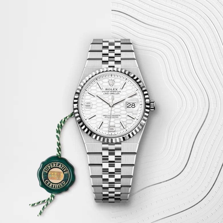 Rolex Land-Dweller in Rolesor bianco (combinazione di acciaio Oystersteel e oro bianco), M127234-0001 - Fani