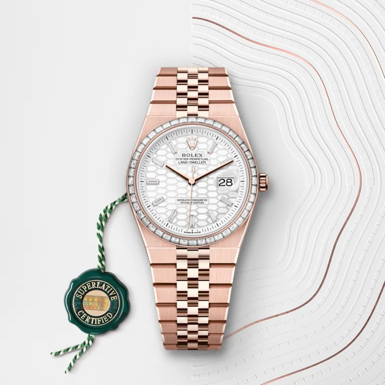 Rolex Land-Dweller in Oro Everose 18 ct, M127285TBR-0002 - Fani