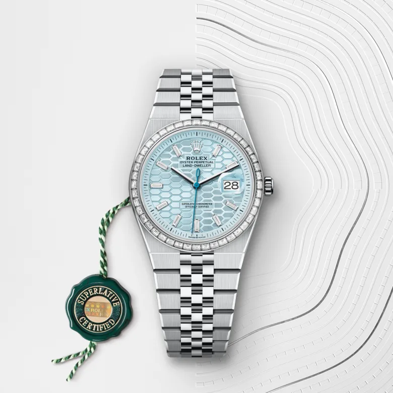 Rolex Land-Dweller in Platino, M127286TBR-0001 - Fani