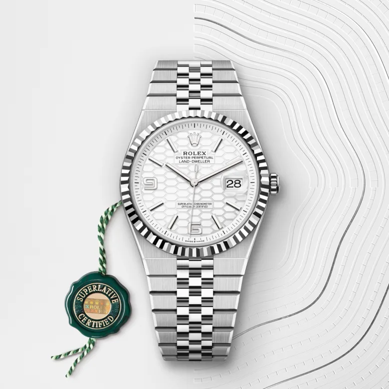Rolex Land-Dweller in Rolesor bianco (combinazione di acciaio Oystersteel e oro bianco), M127334-0001 - Fani