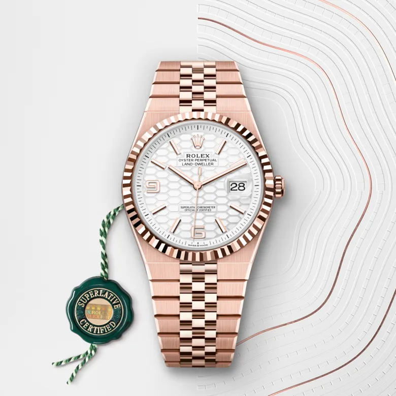 Rolex Land-Dweller in Oro Everose 18 ct, M127335-0001 - Fani