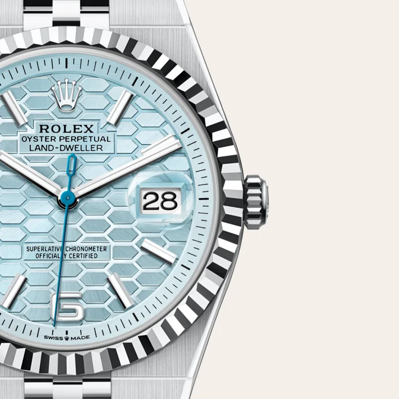 Rolex Land-Dweller in Platino, M127336-0001 - Fani