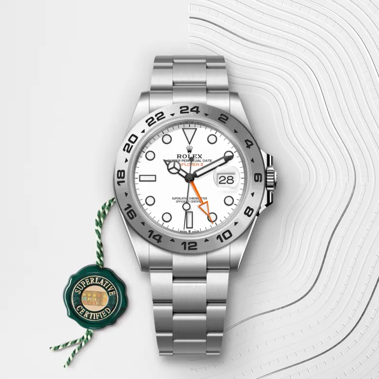 Rolex Explorer in Acciaio Oystersteel, M226570-0001 - Fani