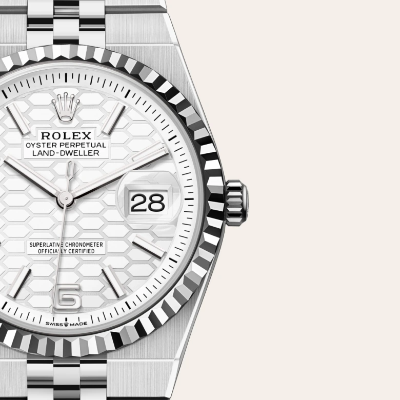 Rolex Land-Dweller in Rolesor bianco (combinazione di acciaio Oystersteel e oro bianco), M127234-0001 - Fani