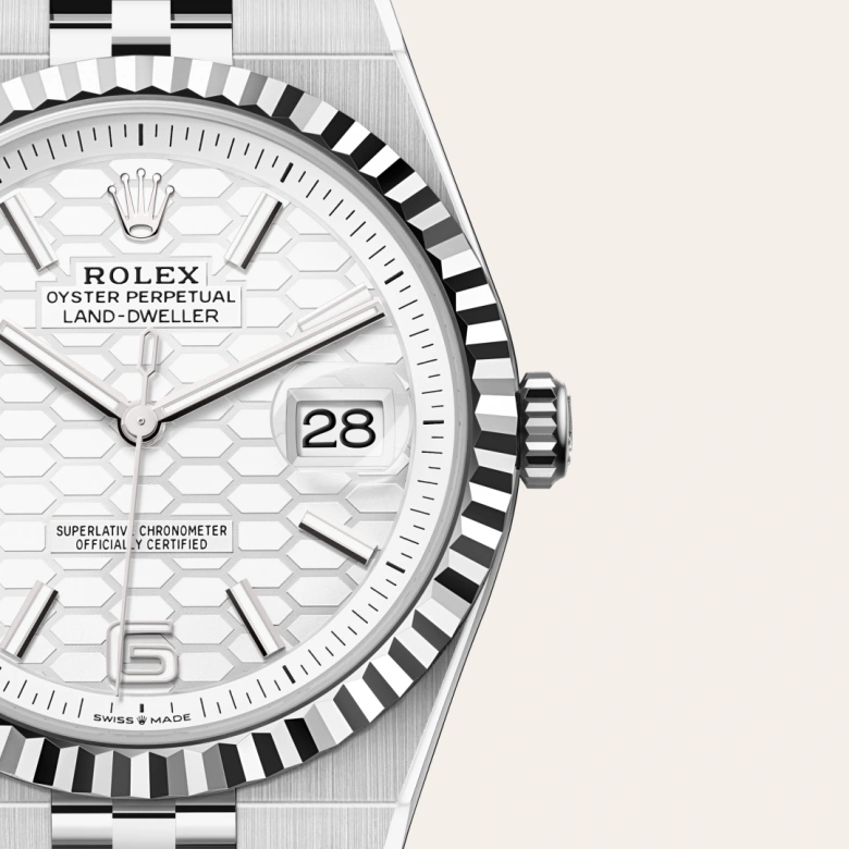 Rolex Land-Dweller in Rolesor bianco (combinazione di acciaio Oystersteel e oro bianco), M127334-0001 - Fani