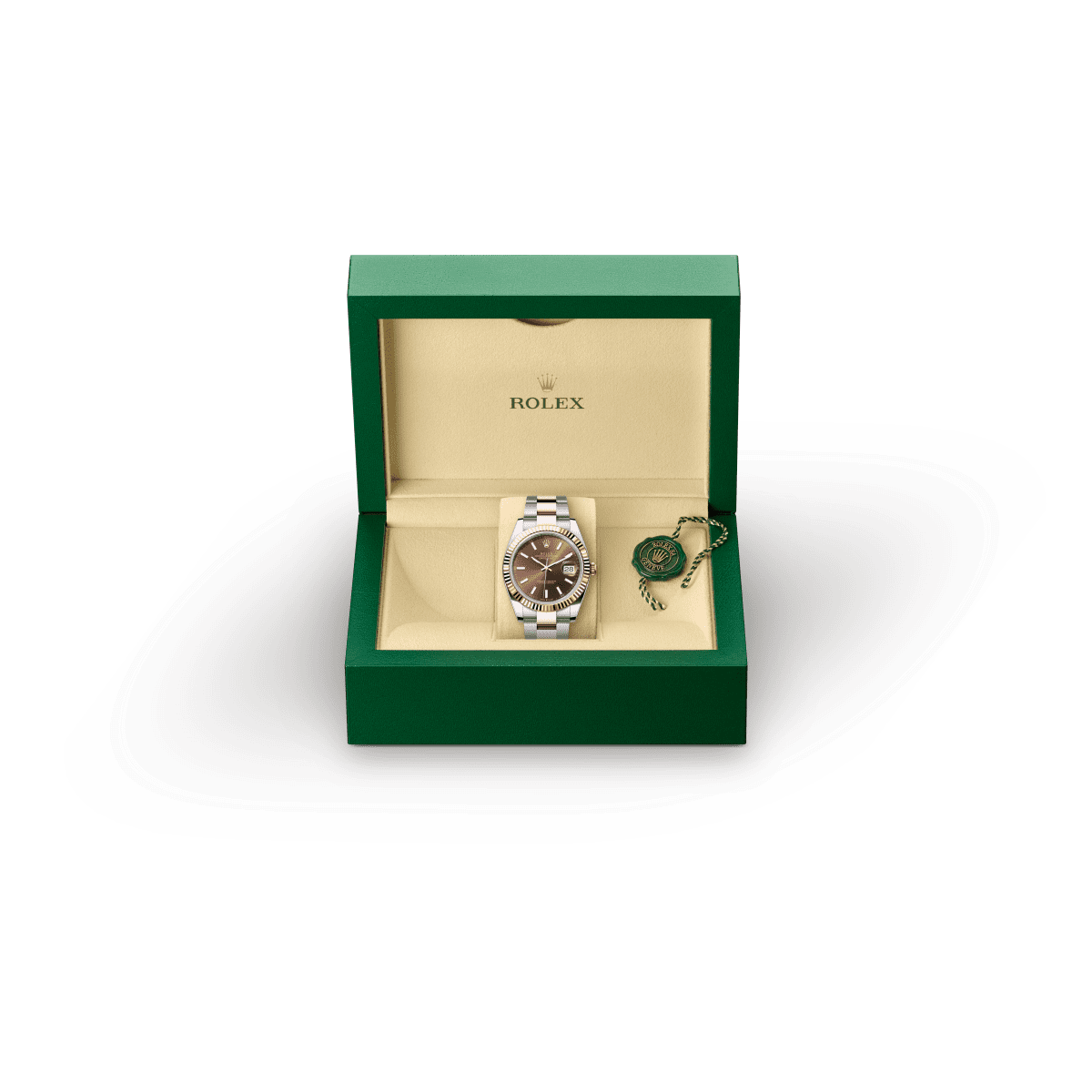Rolex Datejust in Rolesor Everose (combinazione di acciaio Oystersteel e oro Everose),M52509-0002 - Fani