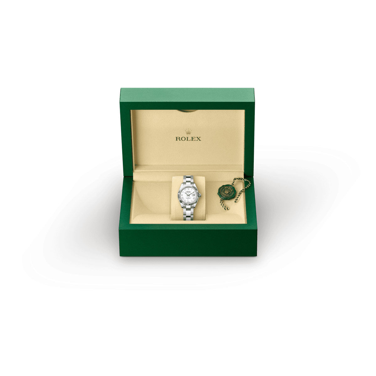 Rolex Lady-Datejust in Rolesor bianco (combinazione di acciaio Oystersteel e oro bianco),M52509-0002 - Fani