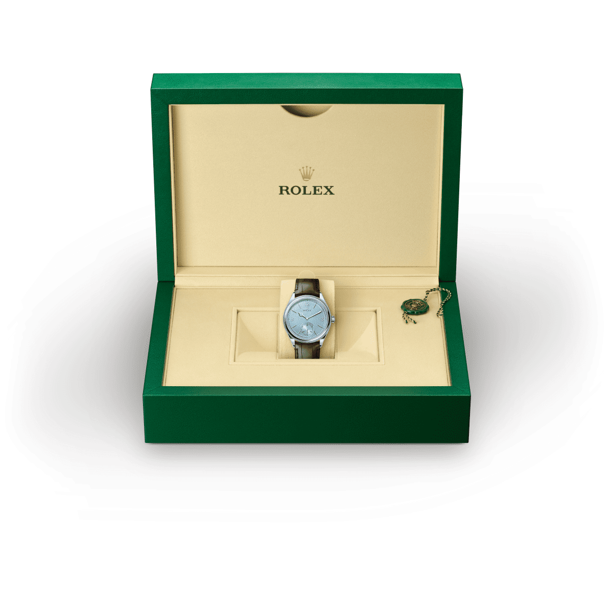Rolex 1908 in Platino,M52509-0002 - Fani