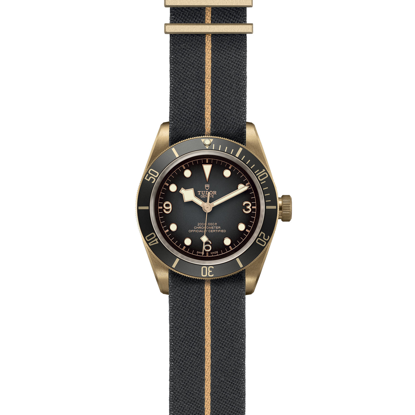 Black Bay Bronze