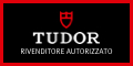 Tudor Logo